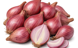 Produk Unggulan